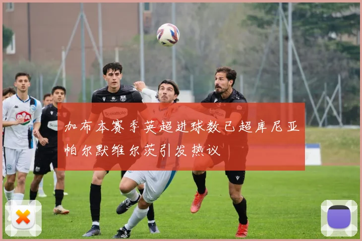 加布本赛季英超进球数已超库尼亚帕尔默维尔茨引发热议
