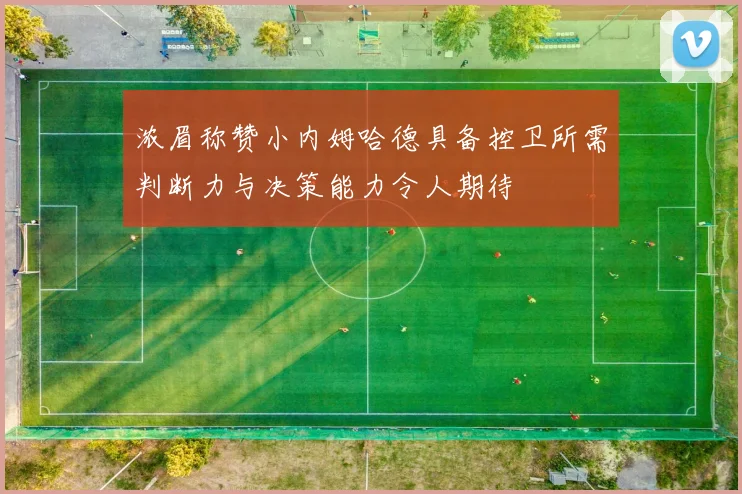 浓眉称赞小内姆哈德具备控卫所需判断力与决策能力令人期待