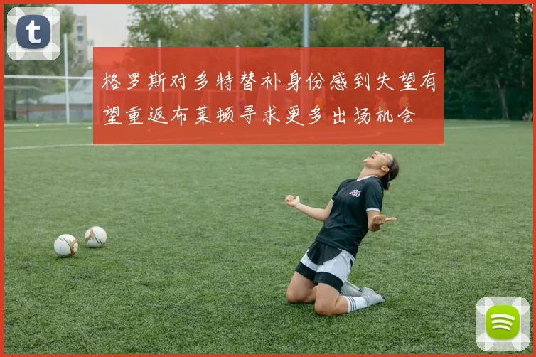 格罗斯对多特替补身份感到失望有望重返布莱顿寻求更多出场机会