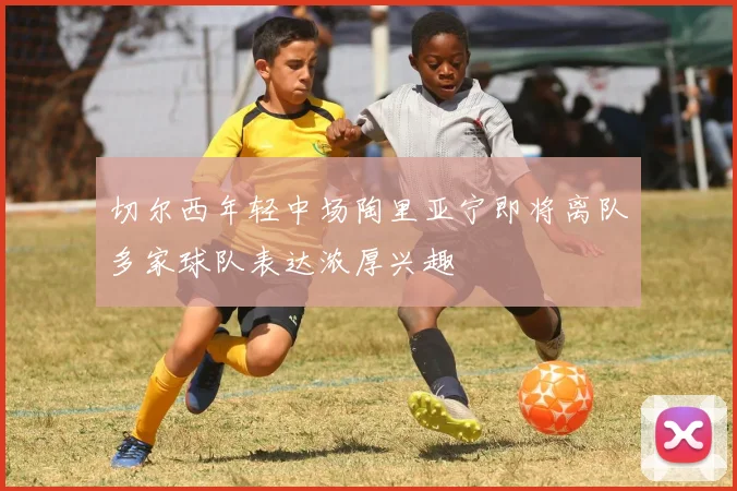 切尔西年轻中场陶里亚宁即将离队多家球队表达浓厚兴趣