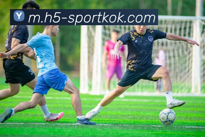 KOK体育APP 封面图